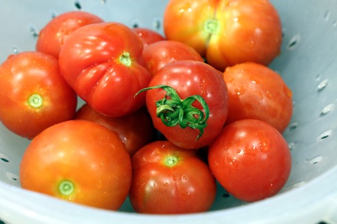 Fresh Picked Heirloom Tomatoes