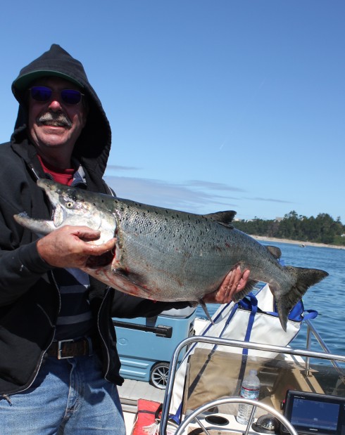 Fresh Chinook from the Ocean